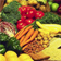 CSIRO Total Wellbeing Diet Defined