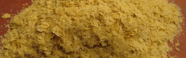 brewers yeast