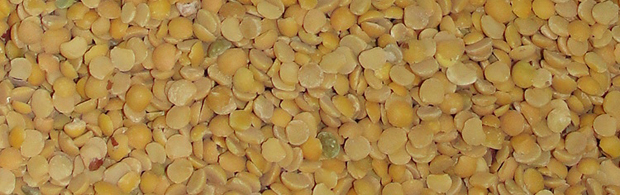lentils
